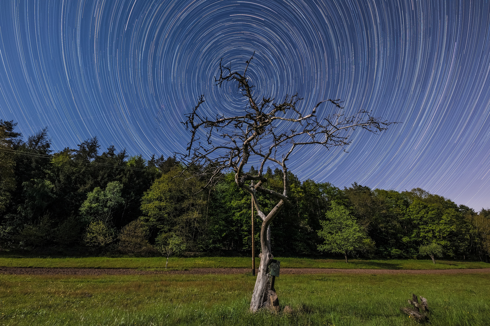 Startrail am Obstbaum - zweiter Versuch ...