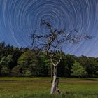 Startrail am Obstbaum - zweiter Versuch ...