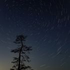 Startrail an der Elbe