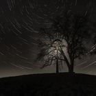 Startrail Baisinger Bühl