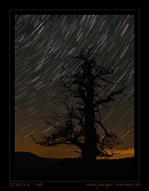 startrail oak