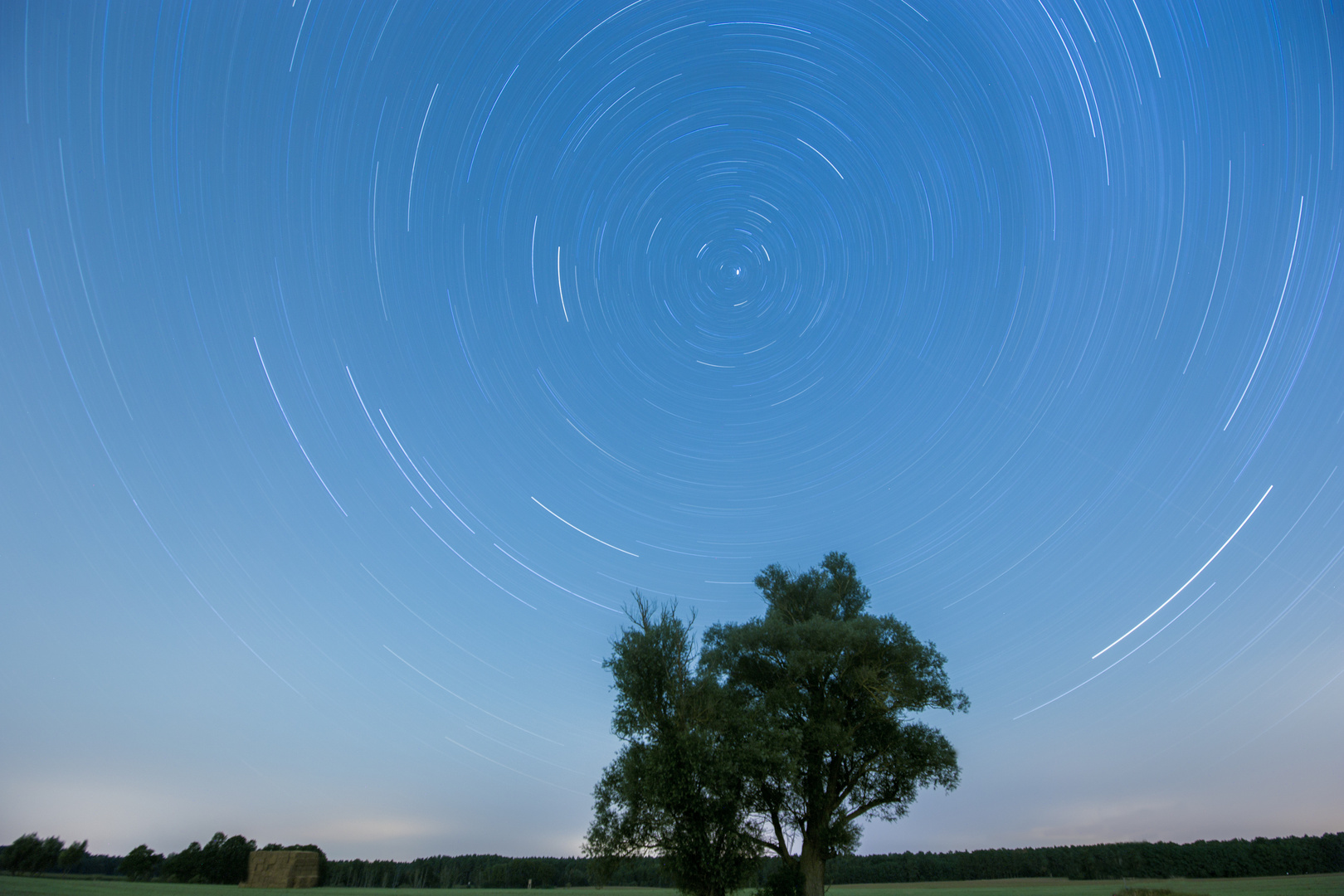 STARTRAIL__Baum