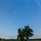 STARTRAIL__Baum