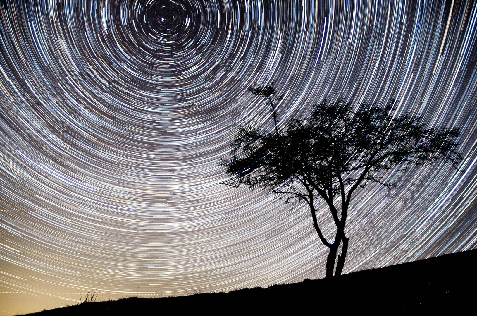 Startrails