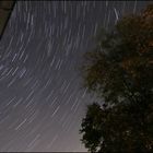 Startrails - 14.8.2012,2230h