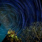 Startrails 2