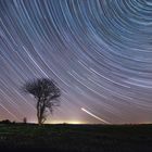 Startrails 