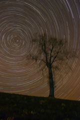 Startrails