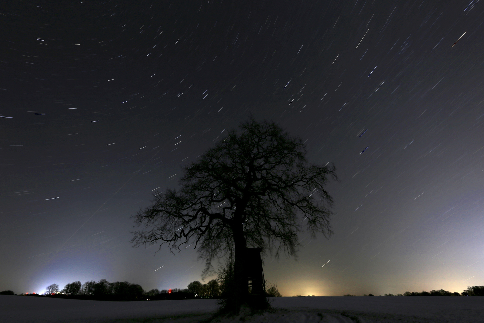 startrails