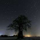 startrails