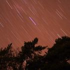 Startrails