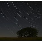 Startrails......