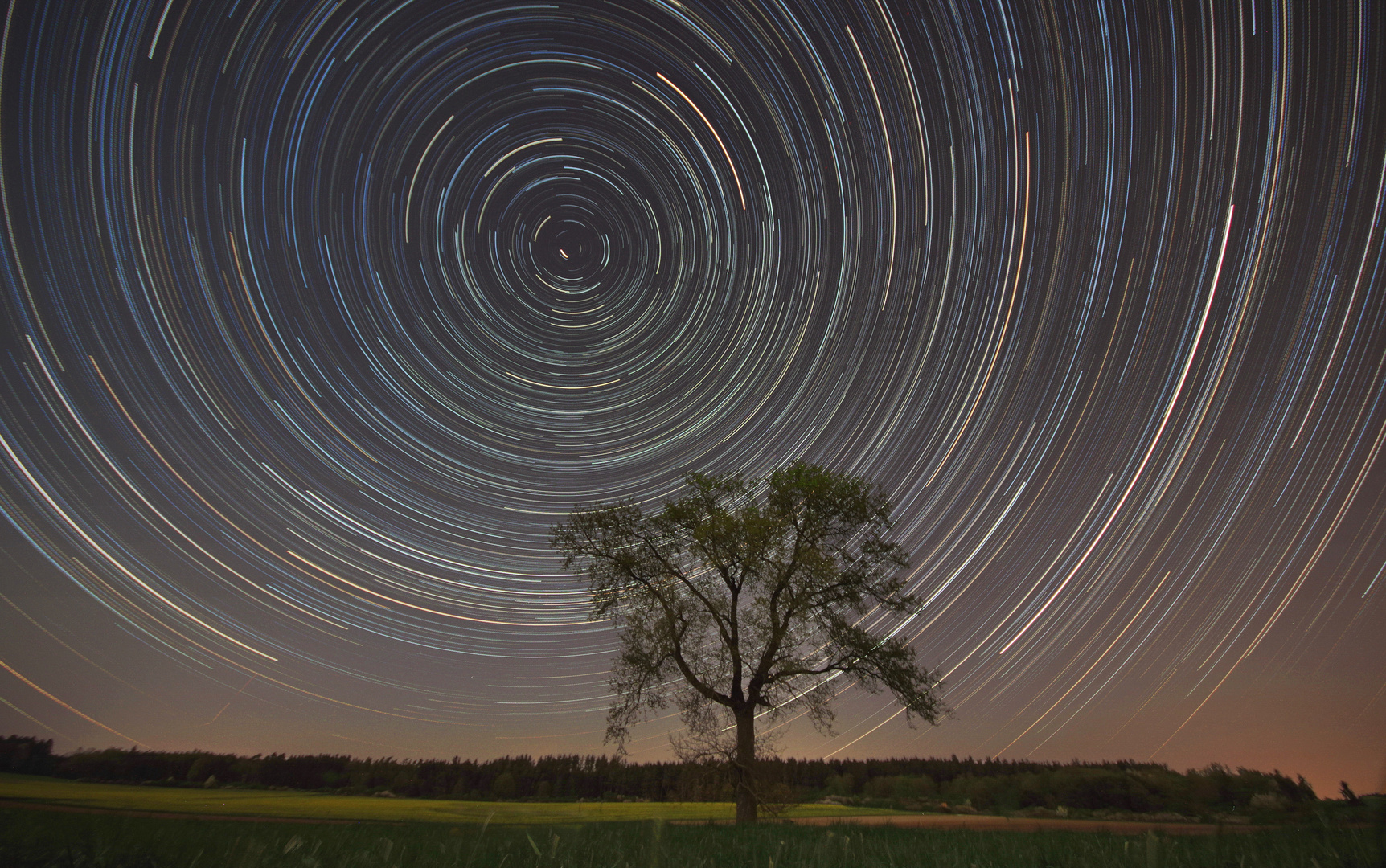 Startrails