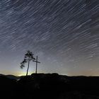 Startrails