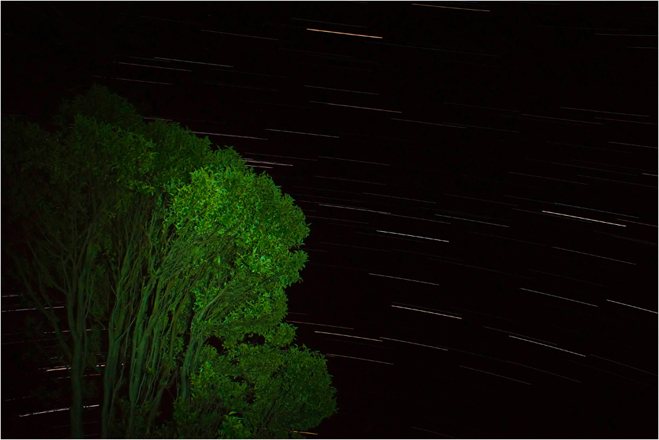 Startrails at Coromandel | New Zealand