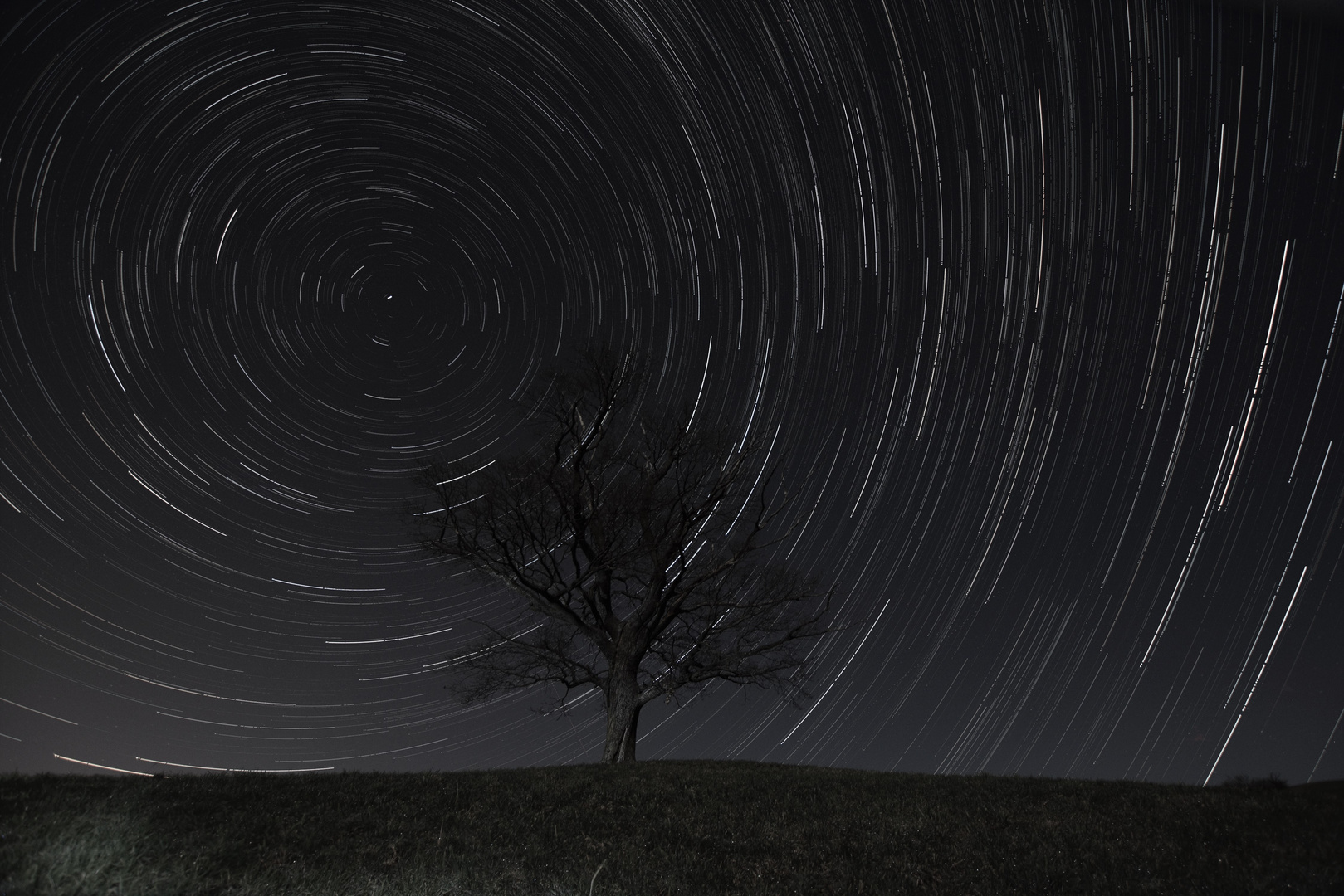 Startrails