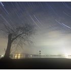 Startrails bei Nebel