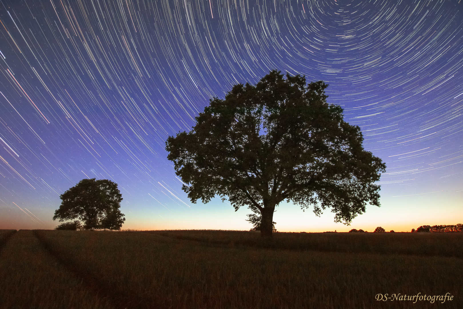 Startrails 