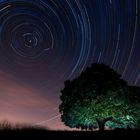 STARTRAILS