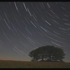 Startrails