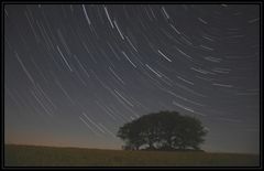 Startrails