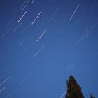 Startrails 