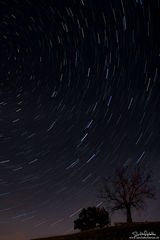 Startrails