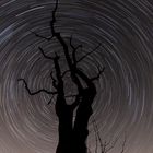 Startrails , die Drehung der Erde