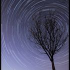 Startrails