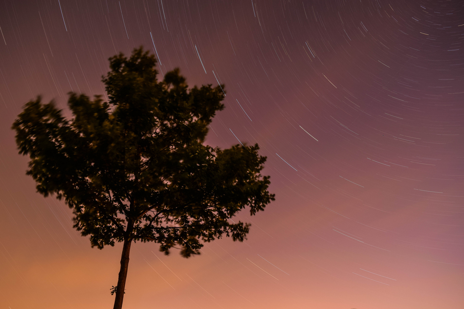 Startrails...