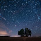 Startrails 