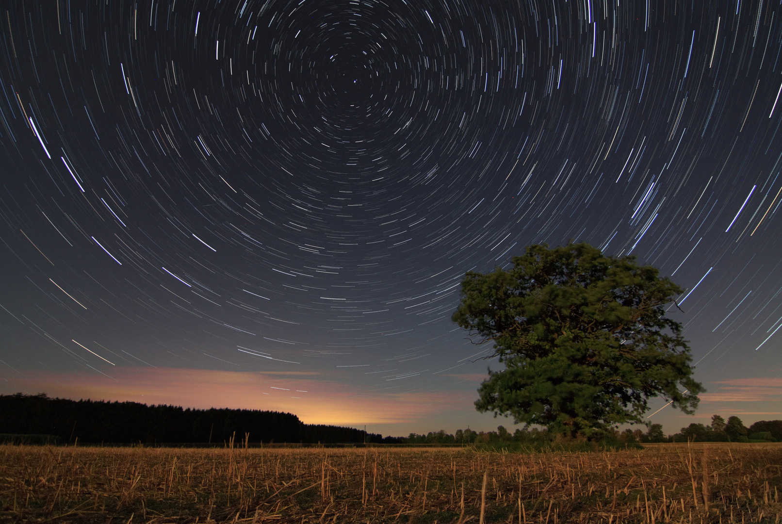 Startrails II