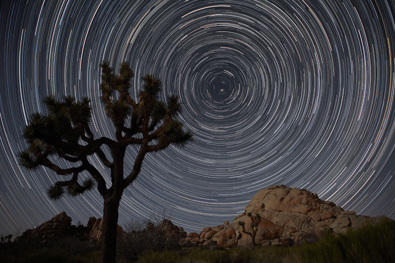 Startrails im Joshua Tree National Park