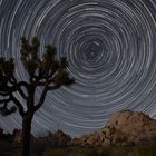 Startrails im Joshua Tree National Park