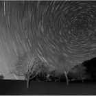 Startrails in S/W