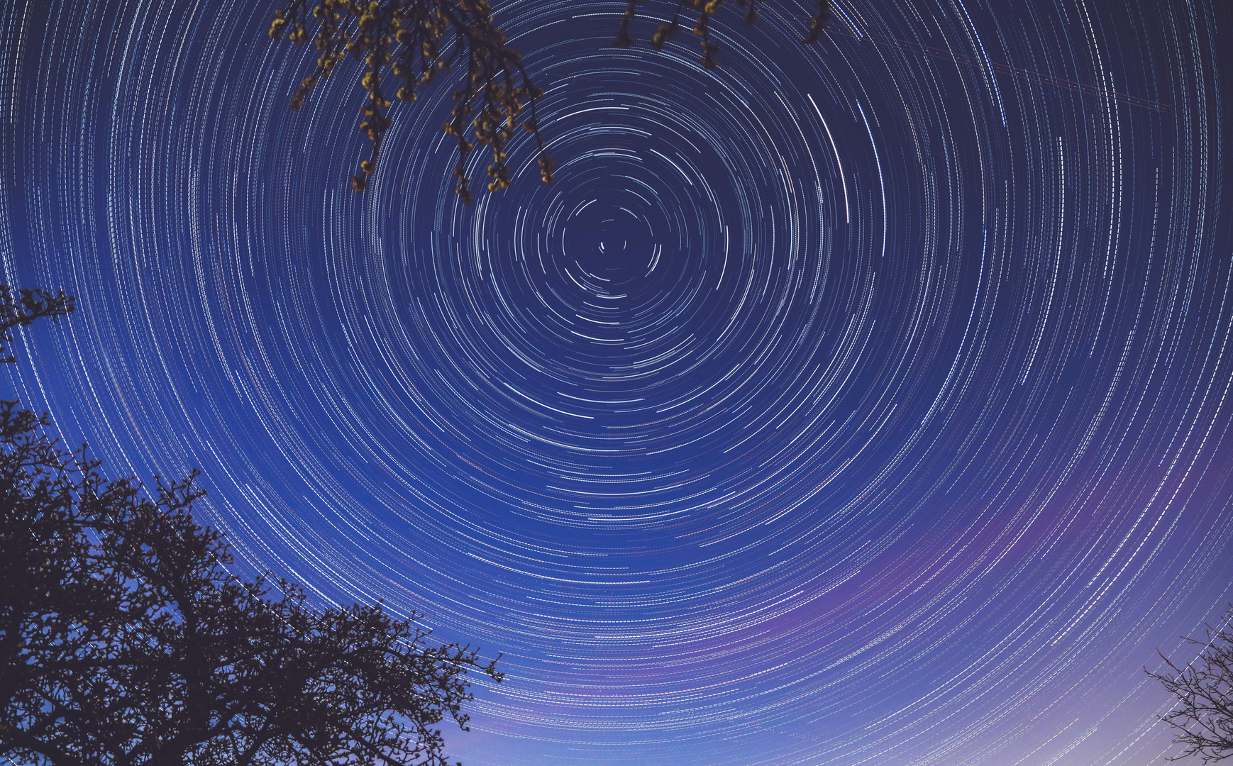 Startrails mit Blick zum Polarstern