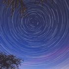 Startrails mit Blick zum Polarstern