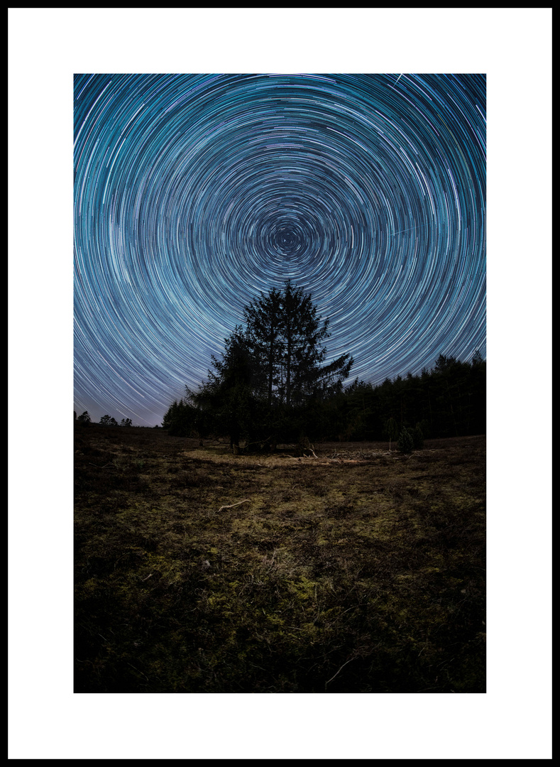 Startrails - Sterne in der Heide - 1