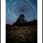 Startrails - Sterne in der Heide - 1