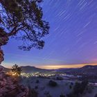 Startrails über dem Pfälzerwald