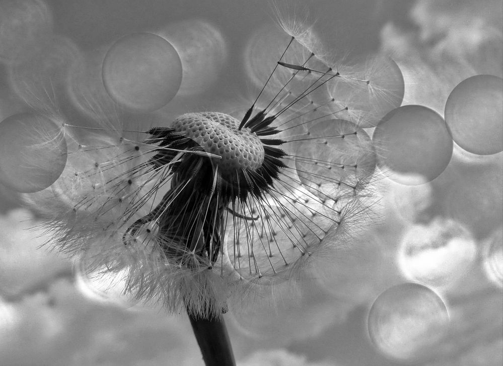 Startrampe Foto & Bild spezial, himmel, natur Bilder auf