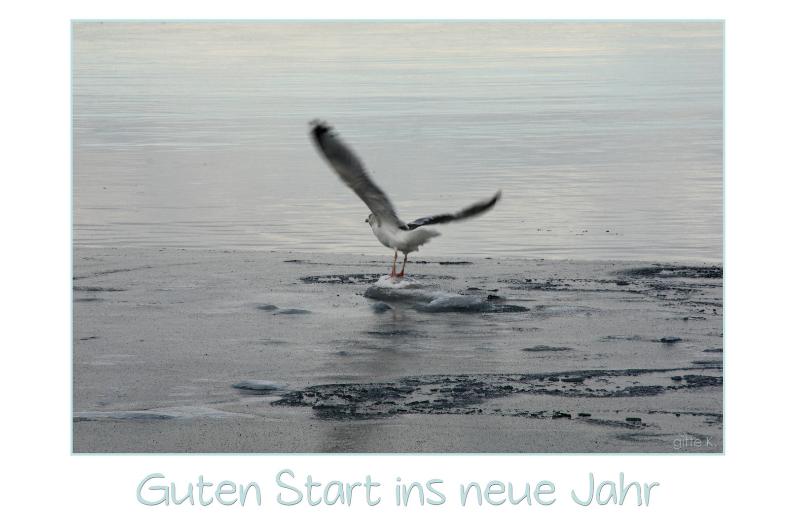 Startschuss...