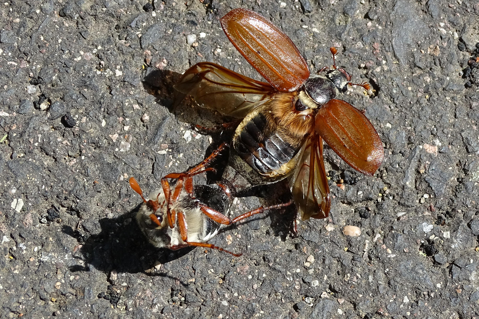 Startschwierigkeiten 