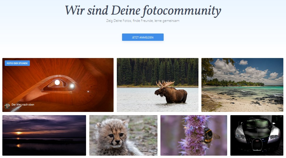 Startseitenfoto am 01.02.2022