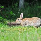 Startvorbereitung zum Osterspurt... 