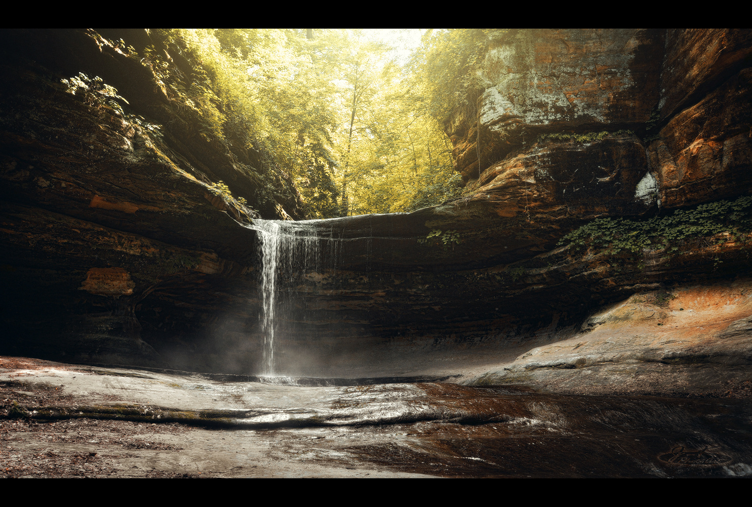 * Starved Rock *