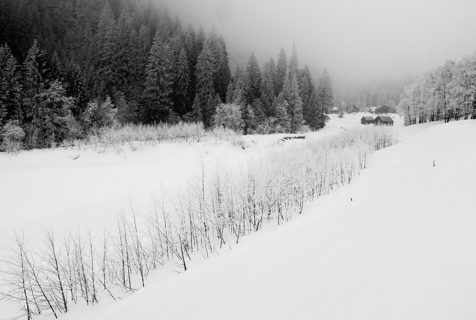 Stasi , Schachen , Maderanertal