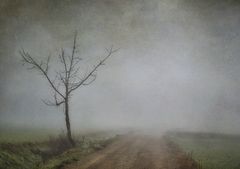 Stati di nebbia
