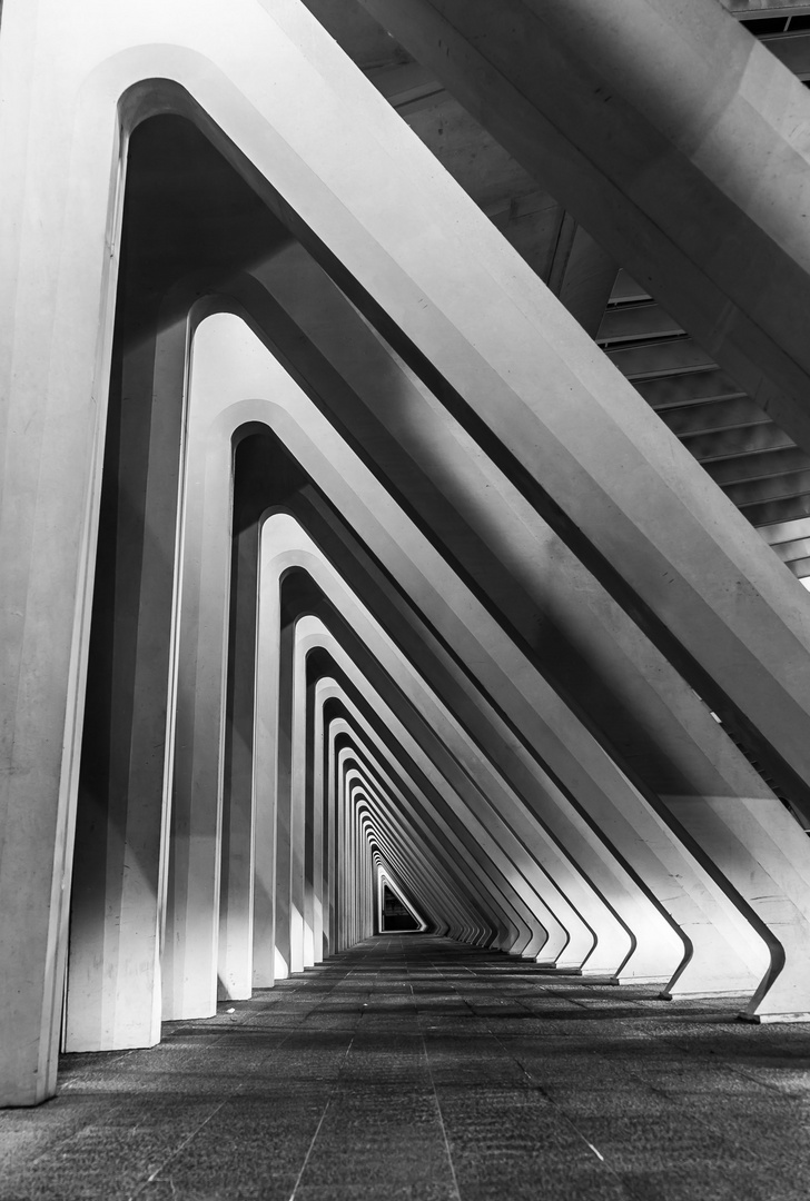 Station Liége-Guillemins 4