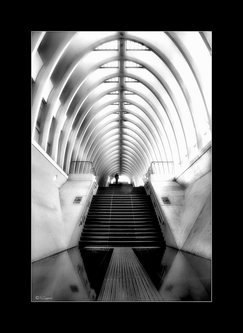 Station Luik-Guillemins